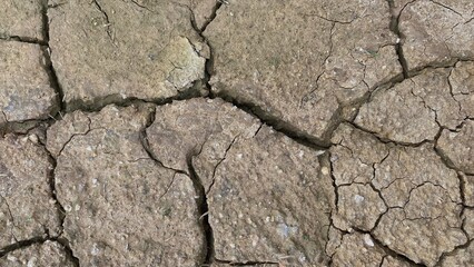 The texture of naturally cracked, dry soil with a random fracture pattern. The surface of the soil is dull brown with small grain details and deep fissures.