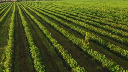 Stylized low poly cityscape with neon lights and cars driving on a road under a vibrant sunset sky - Powered by Adobe
