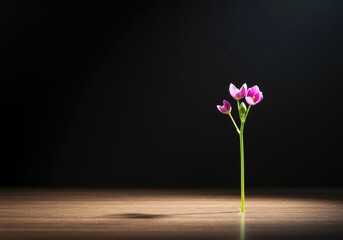 Empty surface waiting for creativity and new ideas to start blooming. Minimalist concept of potential and growth ,thinking ,empty ,growth