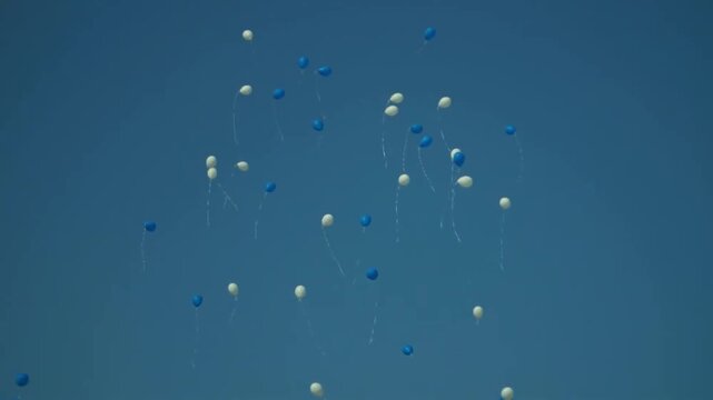 blue and white balloons slowly floating up and away into a clear sky as a symbol of celebration freedom and peace