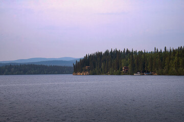 Birch lake on a summer night in Alaska 