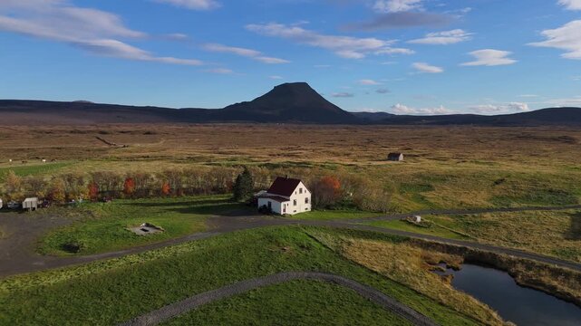 Farm house in field with crisp autumnal colours and trees with volcanic landscape on horizon, drone aerial fly over. Northern Iceland.