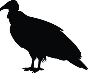 Black silhouette of vulture bird standing side view isolated on white background, wild scavenger bird, nature wildlife illustration