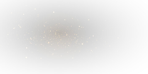 Glittering gold dust floats across the transparent background. Micro-particles shimmer with festive brilliance. A gentle glow spreads through the delicate cloud.PNG