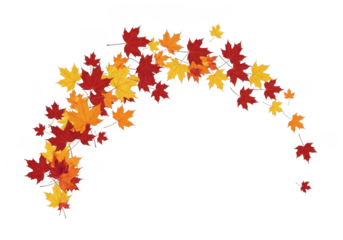 Autumn leaves falling in an arc, isolated on transparent background