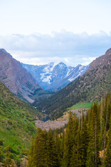 Fototapeta premium Dramatic view looking down a deep, green, forested mountain valley that culminates in a towering, snow-capped peak under a cloudy sky.