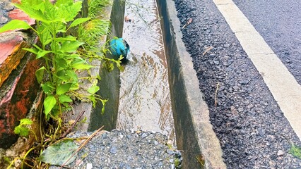 Roadside Drain With Running Rainwater and Wet Pavement, Community drainage ditch