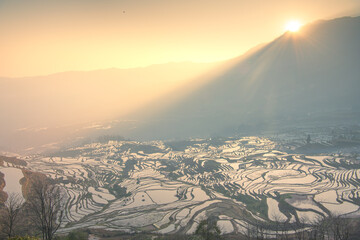 Yuanyang Duoyishu terrace, Yuanyang County, Honghe Prefecture, Yunnan province, China wallpaper.