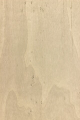 background is made of old wood. an old light board. the texture of a rustic table. birch, Betula, Betulaceae, a place for a text or object. view from above. the effect of aging, vertical, close-up.
