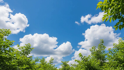 Obraz premium Fresh Nature Border Background Copy Space