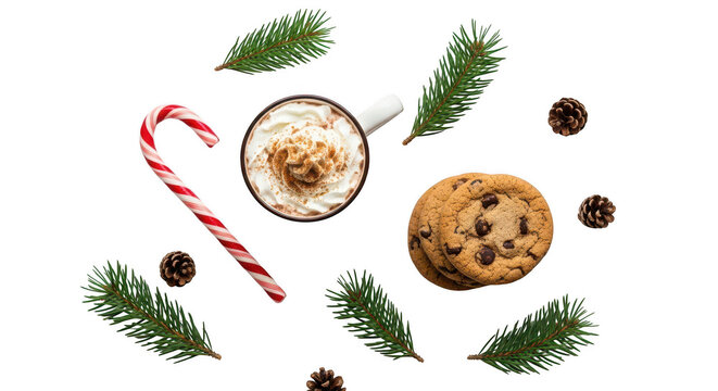 Hot chocolate cookie candy cane pine branch and cone isolated on transparent background