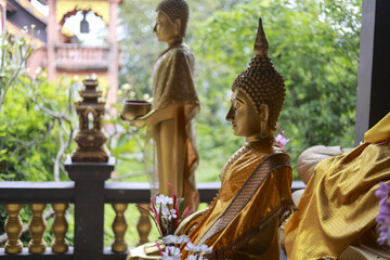 Calm golden Buddha statue meditating in serene temple setting. This peaceful sculpture represents Asian spirituality and religion, traditional symbol with green garden background