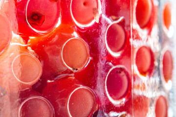 lingonberries. beautiful screensaver. berries in a jar.