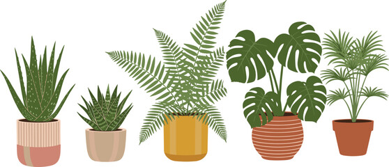 Potted plant illustration set, indoor greenery, aloe, succulent, fern, monstera, palm, decorative pots, botanical theme, vector artwork