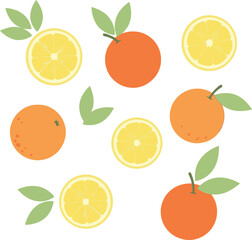 Vibrant Citrus Fruits and Slices with Green Leaves.