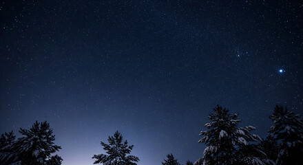 Naklejka premium Stunning winter nightscape with twinkling stars above snow-covered pine trees, perfect for holiday themes or serene nature scenes under the starry sky