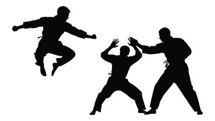 Dynamic martial arts silhouettes in action isolated on white background, Vector