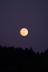 A full moon in Germany. Its surface appears completely illuminated because the Earth, Moon, and Sun are aligned.