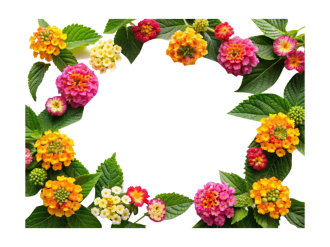 Colorful Lantana Flower Frame with Space for Text or Other Media