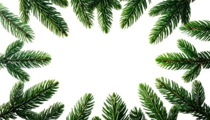 A natural frame of lush evergreen fir branches under flat studio lighting isolated on a white background