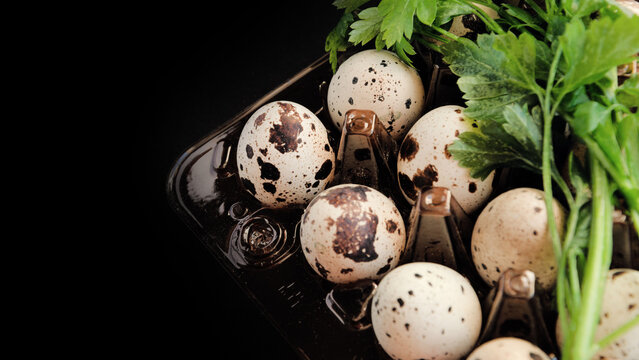 Quail eggs, black background, close-up, fresh parsley, greenery. Dramatic, high-contrast shot of quail eggs in a container with fresh herbs. Gourmet, healthy eating, premium product.
