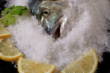 Raw sea bream prepared for cooking, covered with coarse salt, fresh lemon slices, and herbs on a black background