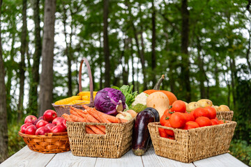 Vitamin harvest. Basket full of vegetable. Healthy food and diet. Dieting with organic vegetable harvest. Autumn vegetable harvest. Harvesting countryside. Healthy farming and harvesting, copy space