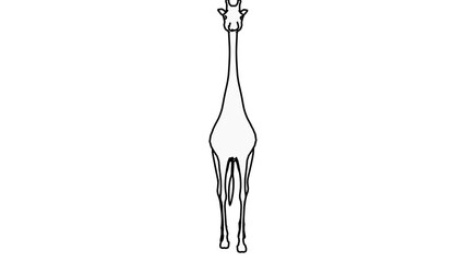 Cute Giraffe Front kick line drawing in white background Front view, 4K resolution, loop