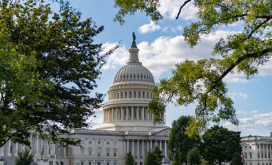 Obraz premium Architecture view on dome with column. Famous Capitol in Washington DC. Washington DC landmark. Senate and House in Washington DC. Capitol dome. Historic Capitol by the national flag