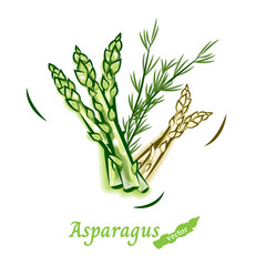 アスパラガスのベクターイラスト｜新鮮で瑞々しい野菜のポップアート素材