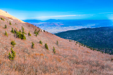 Autumn Mountain Slope With Evergreen Trees Overlooking Scenic Valley