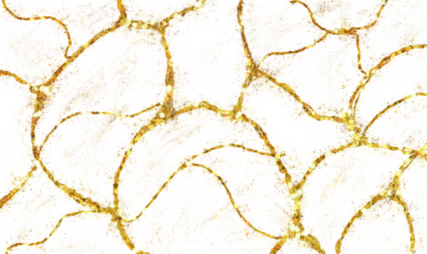 Abstract golden chain link pattern on white background - Powered by Adobe