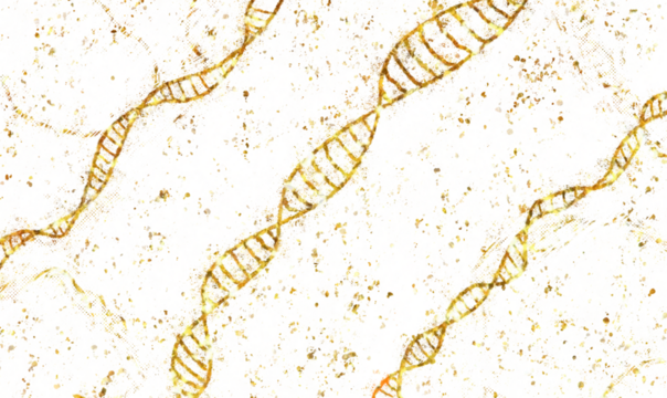 Abstract golden ribbons twisting on a speckled white background