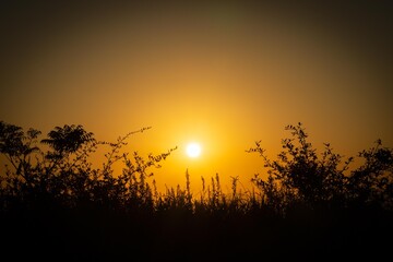 揖斐長良川河口の夕景