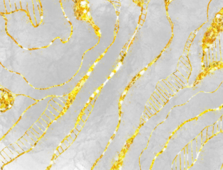 Elegant white marble with luxurious gold veins texture