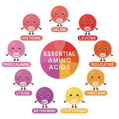 必須アミノ酸のキャラクターイラストセット　英語／Essential Amino Acids Character Illustration Set &ndash; English