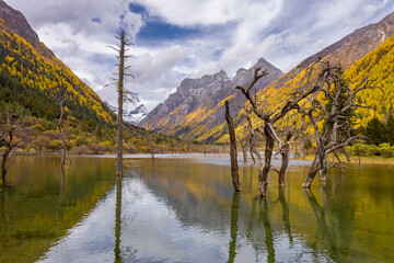 Siguniang Mountains (Four Girls Mountain) is a famous tourist attraction in Sichuan, China, It features mountains, pine forest streams and wild animals and has been certified as a 5A level 