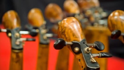 Focus on the wooden tuning pegs and details of a stringed instrument with a red backdrop