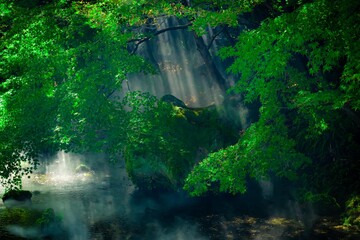 せせらぎのミスト