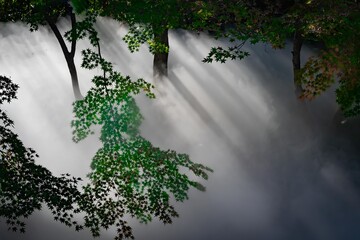 せせらぎのミスト