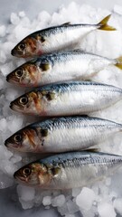 A group of fish are displayed on ice
