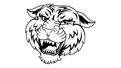 head tiger vector illustration
