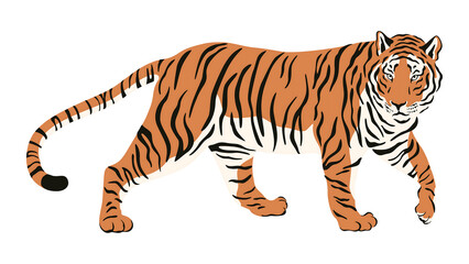 Majestic Standing Tiger Full Body Vector Illustration
