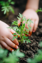 Young hands gently plant small green seedling into rich, dark soil, symbolizing growth and nurturing. scene captures moment of care and connection with nature