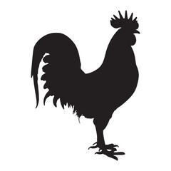Proud rooster silhouette standing firmly on plain white isolated backdrop