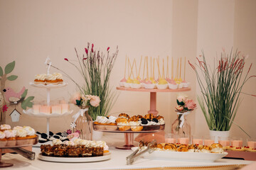 Candy bar of different cookies, candy and sweets at party