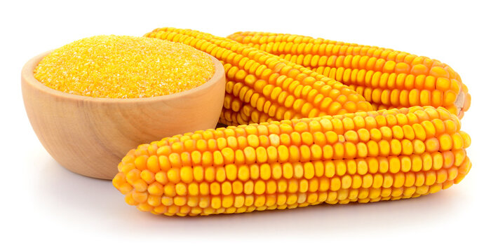 Corn cobs and corn grits isolated on white background