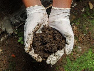 Top-down shot of high-quality compost or earth held in gloved hands. Focus on safety, hygiene, and the texture of fertile soil for growing plants.