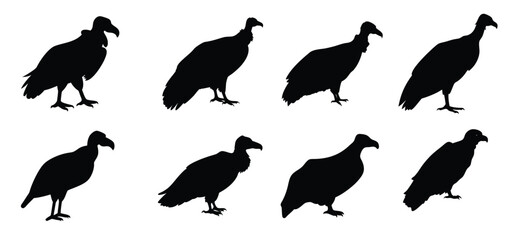 Vulture Silhouette Vector Set - Bird of Prey Clipart for Wildlife Designs