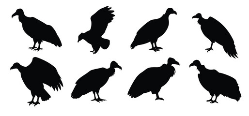 Vulture Silhouette Vector Set - Bird of Prey Clipart for Wildlife Designs